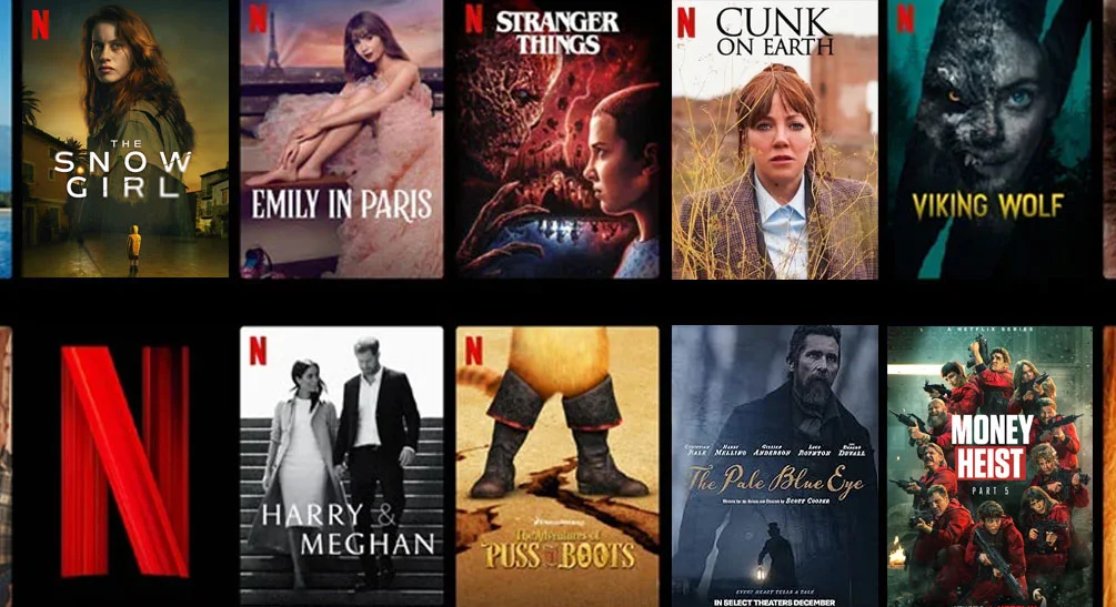 5 Web Series on Netflix to Watch in 2024