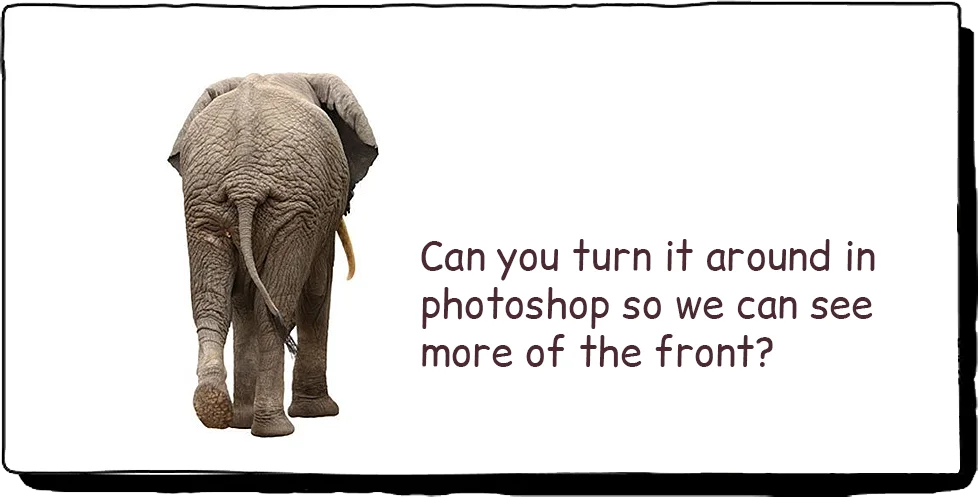 Can You Turn this Around a Bit?